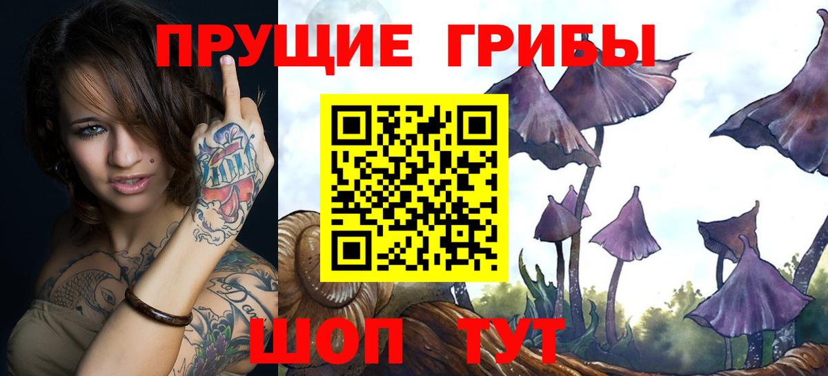 Галлюциногенные грибы мицелий  Галлюциногенные грибы GOLDEN TEACHER  Камышин  Вход с VPN 
